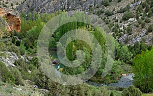 High mountain landscape with meandering river and green pines, Hoces del Riaza, Spain photo