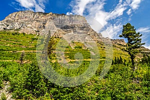 A High Mountain Meadow Leads to a Flat Ridge of Rock in Glacier National Park