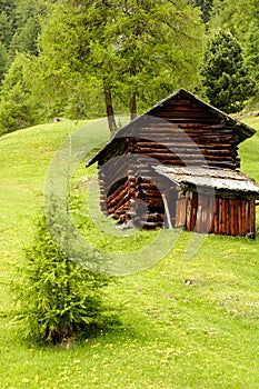 High mountain pasture photo