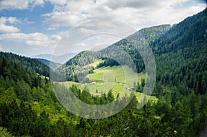 High mountain pasture