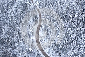 High Mountain Road Passing Thru High Snowy Pines
