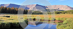 High mountain stream panorama in Utah