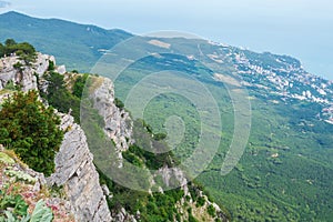 A high mountain with trees, which offers a beautiful view.