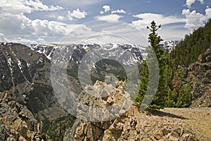 High mountain view at timberline