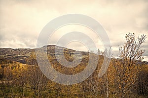 High mountains. Fall in Iceland. Landscape view with grass field in Iceland. Autumn landscape cloudy day. Climate
