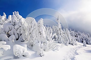 High on the mountains in the forest covered with snow there is lonely old wooden hut standing with fence on the lawn.