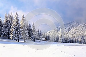 High on the mountains in the forest covered with snow there is lonely old wooden hut standing with fence on the lawn.