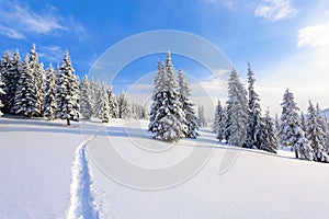 High on the mountains in the forest covered with snow there is lonely old wooden hut standing with fence on the lawn.