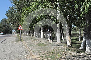 high in the mountains in the nature of Azerbaijan Ismayilli