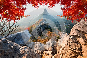 High mountains in the plains and fields in the morning, the misty and beautiful maple leaf in Khao No Nakhon Sawan Thailand