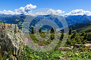 High mountains view with green meadow and stones in the foreground. Zillertal High Alpine Road, Austria, Tirol, Zillertal