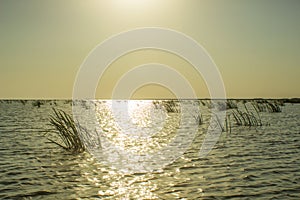 High Noon on Danube Delta Waters