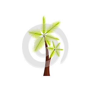 High palm tree icon, flat style