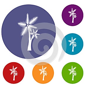 High palm tree icons set