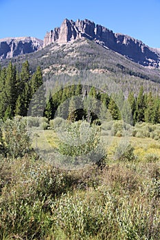 High Peaks Greater Yellowstone Ecosystem photo