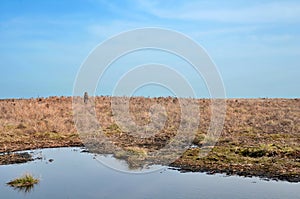 High pennine moorland on midgley moor in calderdale with a small pond reflecting the sky surrounded by cut bracken and a standing