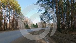 A high pine forest is located along the sides of the road. A lonely car drives on a forest road, blue sky in the