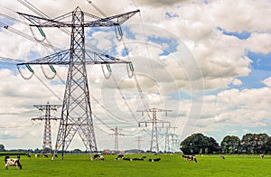 High power pylons contrasting with small cows in a Dutch landscape