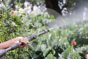 High pressure water or water jet spray that is pointed towards nature on outdoors