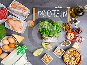 High protein food - meat, fish, poultry, nuts, dairy products, eggs, micro greens, beans, avocado, oil, oat, seeds Products goof