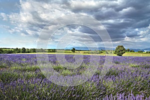 High Provence, france