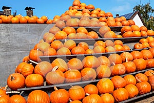 High pumpkin pyramid