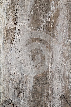Grunge aged wall surface texture in poor condition