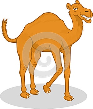 High Quality Camel Vector Cartoon Illustration