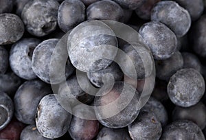 High-quality close-up image capturing the natural dusty bloom of ripe blueberries