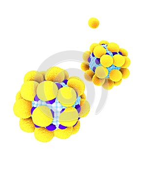 Fat cell on the white background