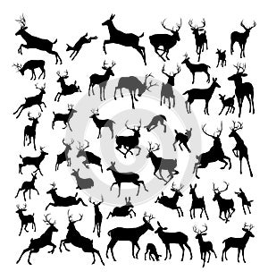 Deer animal silhouettes