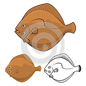 High Quality Flatfish Cartoon Character Include Flat Design and Line Art Version photo