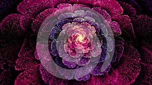 High Quality Fractal Art ; etheral bloom #1