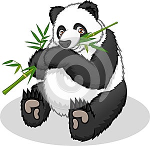 High Quality Giant Panda Cartoon Vector Illustration