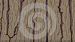 Rustic Tree Bark Background for Graphic Design
