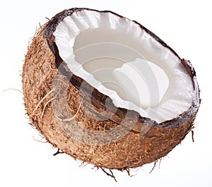 High-quality photos of coconuts.