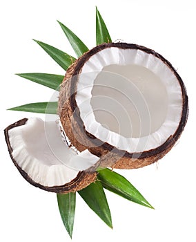 High-quality photos of coconuts.