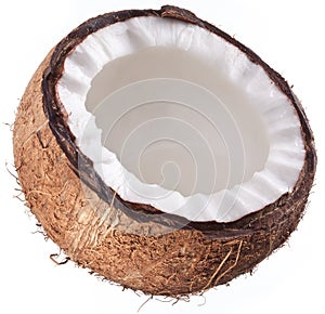 High-quality photos of coconuts