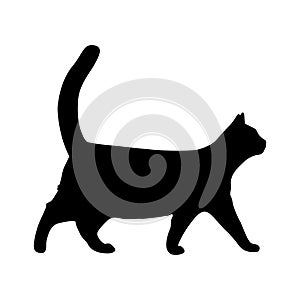 High quality silhouette of a cat walking