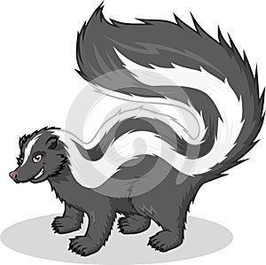 High Quality Skunk Vector Cartoon Illustration