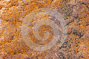 high res earth tones semi smooth multi color and tones natural stone texture close up background