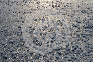 High res hoar frost on a sparkling frozen lake with rose-petal like flower blooms crystals texture background