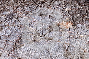 high res rough gray natural stone with limestone texture close up background