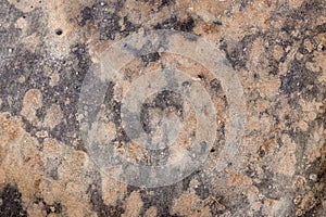 high res semi smooth dark gray natural stone texture close up background with bright pale pink spots from Italy