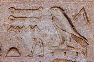 High Res well preserved ancient red limestone Egyptian relief with detailed hieroglyph from Egypt