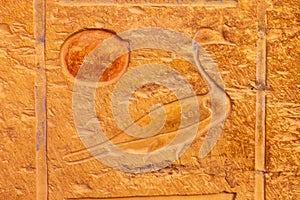 High Res well preserved ancient red limestone Egyptian relief with a duck and the sun
