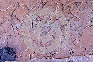 High Res well preserved ancient red limestone Egyptian relief with multiple detailed birds figures in flight