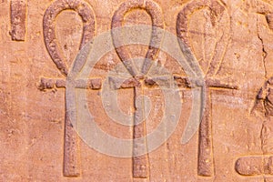 High Res well preserved ancient red limestone Egyptian relief with three detailed Ankh ceremonial symbols