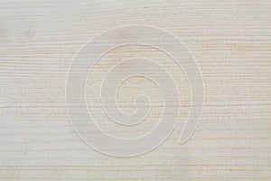 High resolution blonde wood texture