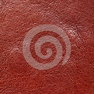 High resolution brown leather texture